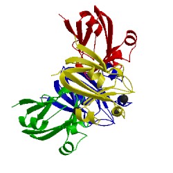 Image of CATH 1ws7