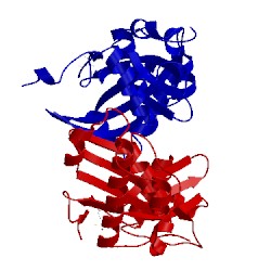 Image of CATH 1wsc