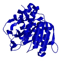 Image of CATH 1wsd
