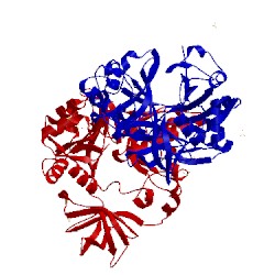 Image of CATH 1wsr