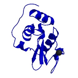 Image of CATH 1wtn