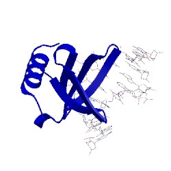 Image of CATH 1wto