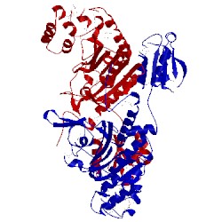 Image of CATH 1wu7