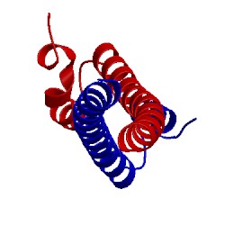 Image of CATH 1wu9