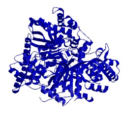 Image of CATH 1wut