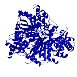 Image of CATH 1wv1