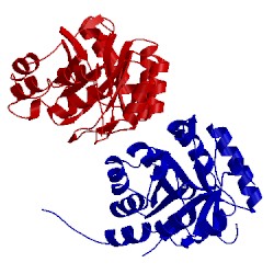 Image of CATH 1wv2