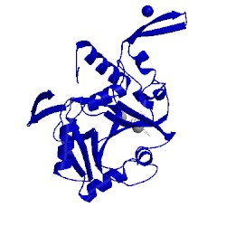 Image of CATH 1wvc