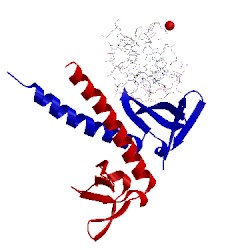 Image of CATH 1wvl