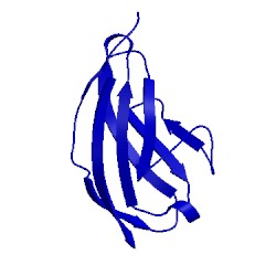 Image of CATH 1wvz