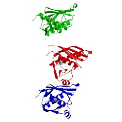 Image of CATH 1wxo