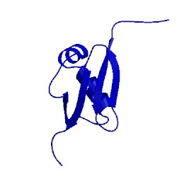 Image of CATH 1wxs