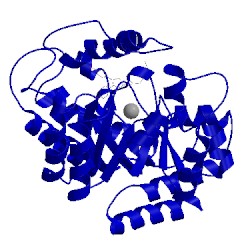 Image of CATH 1wxy