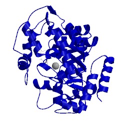 Image of CATH 1wxz