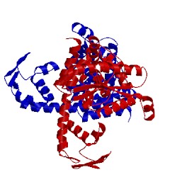 Image of CATH 1wy5