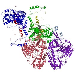 Image of CATH 1wyu