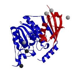 Image of CATH 1wyw