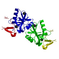 Image of CATH 1x2t