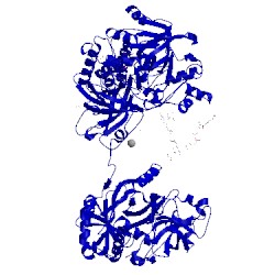 Image of CATH 1x31