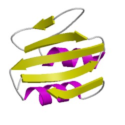 Image of CATH 1x31C02