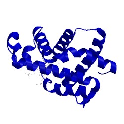 Image of CATH 1x3k