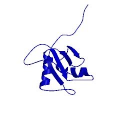 Image of CATH 1x4d