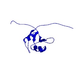 Image of CATH 1x5s