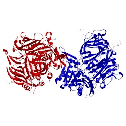 Image of CATH 1x70
