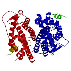 Image of CATH 1x7e