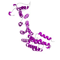 Image of CATH 1x81A00