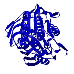 Image of CATH 1x8r