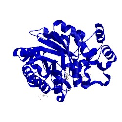 Image of CATH 1x96
