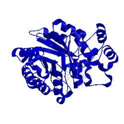 Image of CATH 1x97