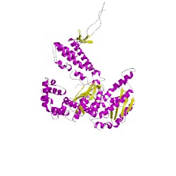 Image of CATH 1x9mA