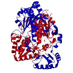 Image of CATH 1xa3