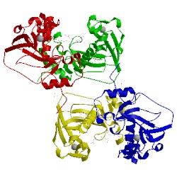 Image of CATH 1xa8