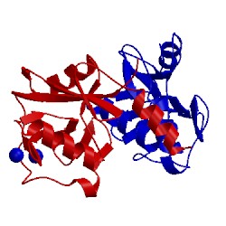 Image of CATH 1xar
