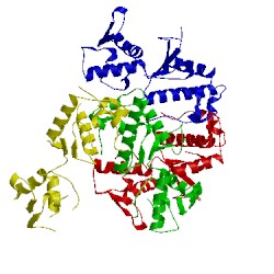 Image of CATH 1xb4