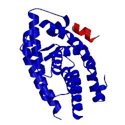 Image of CATH 1xb7