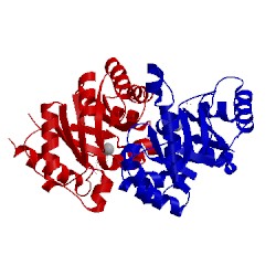 Image of CATH 1xbx
