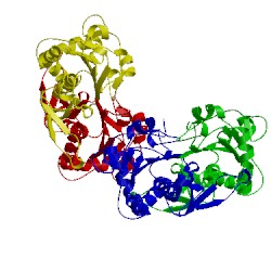 Image of CATH 1xcc