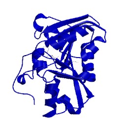 Image of CATH 1xcl