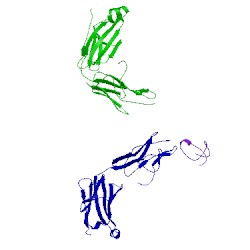 Image of CATH 1xct