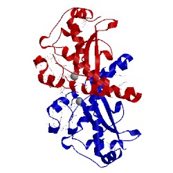 Image of CATH 1xdc