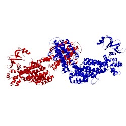 Image of CATH 1xdv