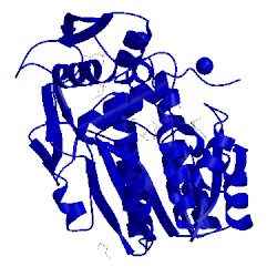 Image of CATH 1xel