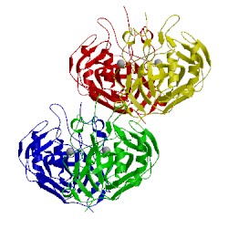 Image of CATH 1xev