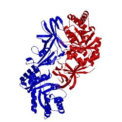 Image of CATH 1xfc