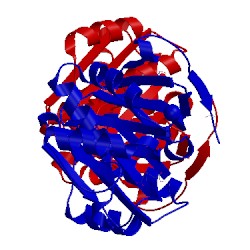 Image of CATH 1xfg