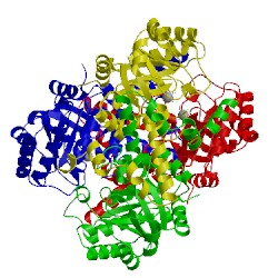 Image of CATH 1xg4